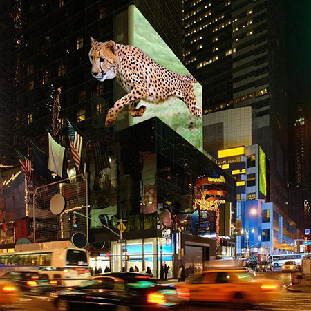 b68e71baa516c27796a1b4efe8efadbc