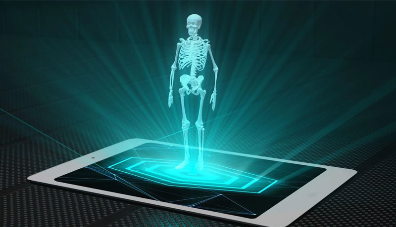 Clear Three Dimensional Images Of Human Organs